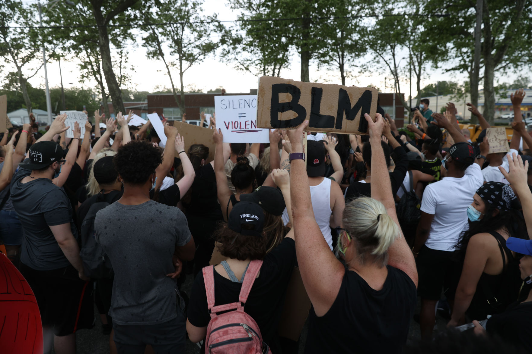 Vineland Protest